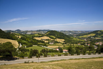 Le zonage France ruralités revitalisation (ZFRR) remplace le précédent dispositif des zones de revitalisation rurale (ZRR).